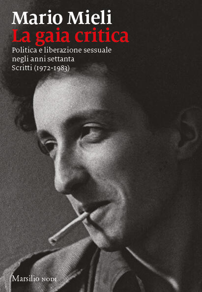 La gaia critica: Politica e liberazione sessuale negli anni Settanta. Scritti 1972-1983