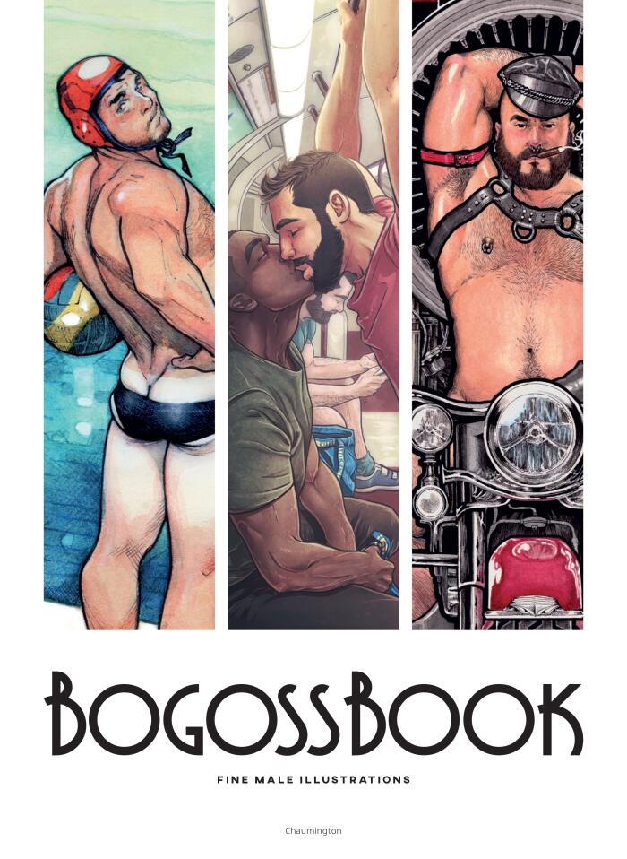 BogossBook: Fine Male Illustrations