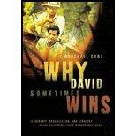 Why David Sometimes Wins