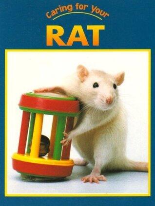Caring for Your Rat