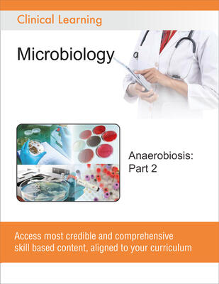 Anaerobiosis: Part 2