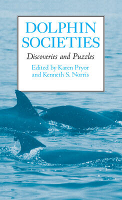 Dolphin Societies: Discoveries and Puzzles