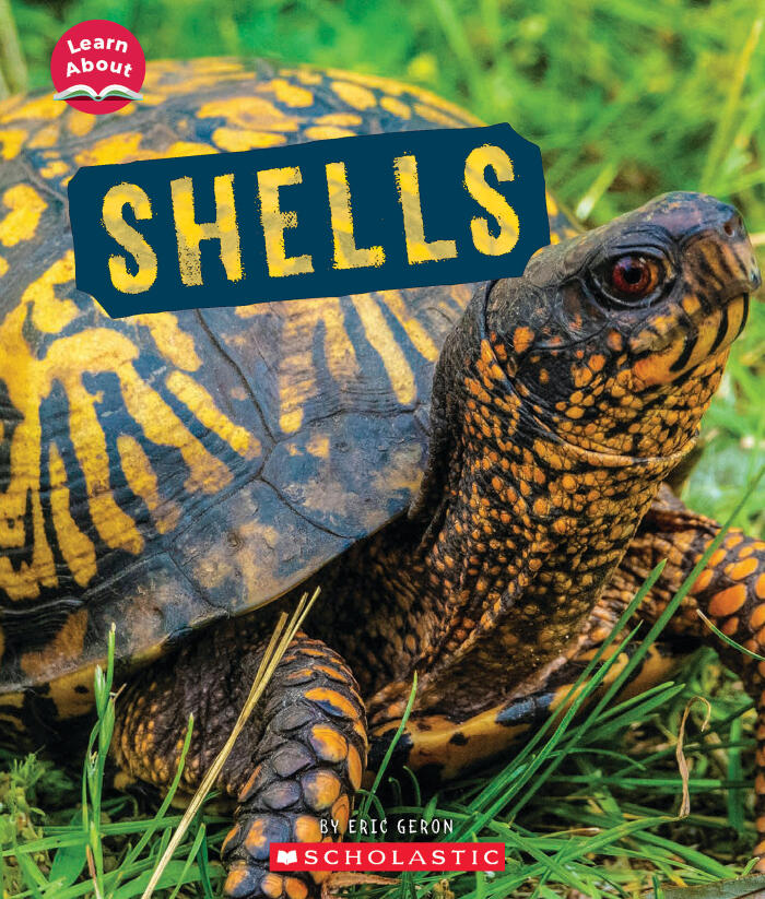 Shells