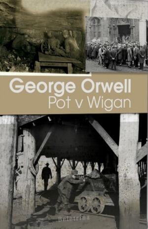 Pot v Wigan