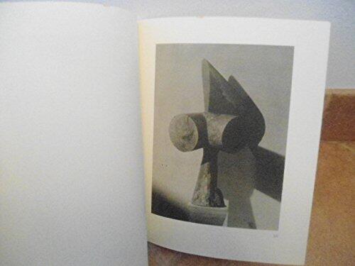 Brâncusi, the sculptor as photographer