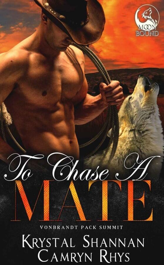 To Chase A Mate: Somewhere, TX Saga