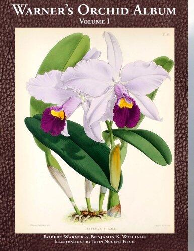 Orchid Album: Growing Classic Orchid Species and Hybrids