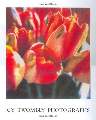 Cy Twombly Photographs