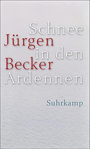 Schnee in den Ardennen: Journalroman