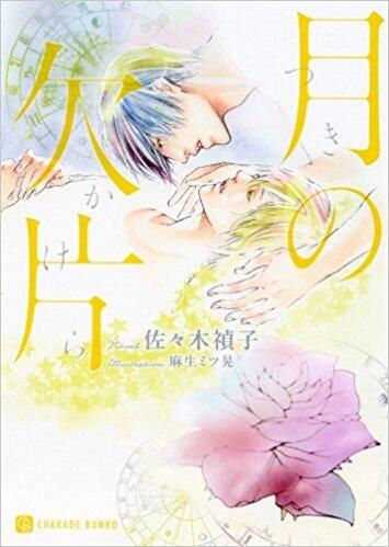 月の欠片