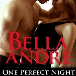 One Perfect Night