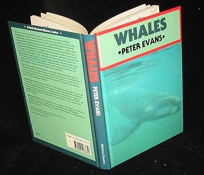Whales