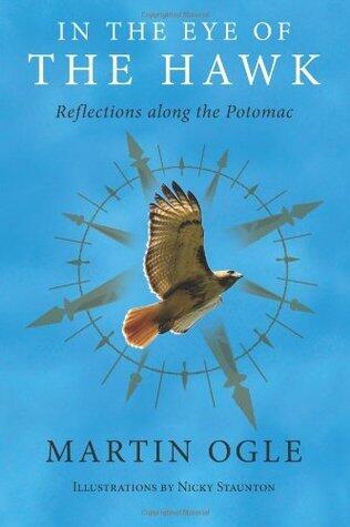 In The Eye of The Hawk: Reflections along the Potomac