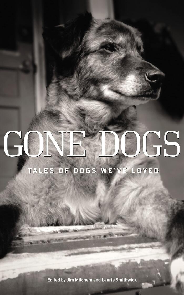 Gone Dogs: Tales of Dogs We've Loved