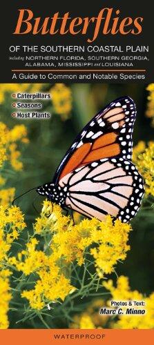 Butterflies of the Southern Coastal Plain