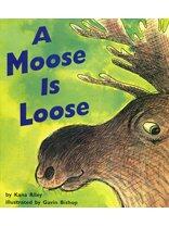 A Moose is Loose