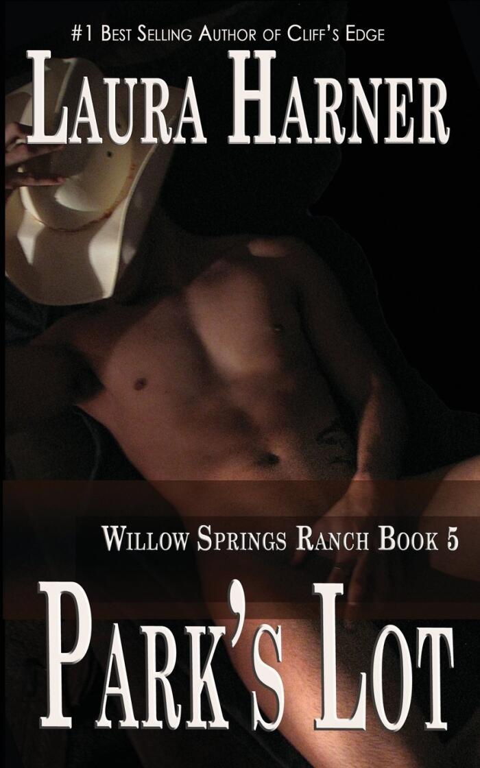 Park's Lot: Volume 5 (Willow Springs Ranch)
