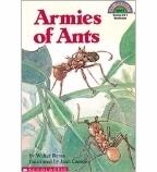 Armies of Ants