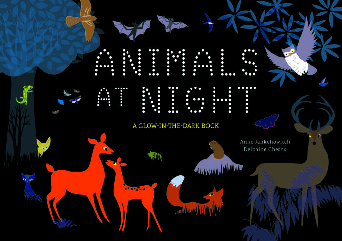 Animals at Night