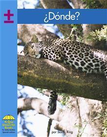 ¿Dónde? / Where?