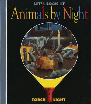 Let's Look at Animals by Night