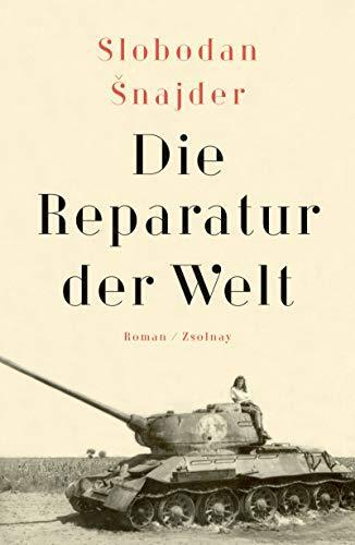 Die Reparatur Der Welt