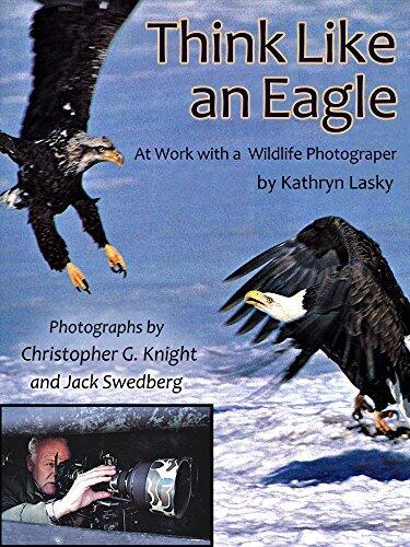 Think Like An Eagle