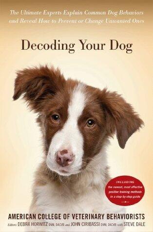 Decoding Your Dog: Explaining Common Dog Behaviors and How to Prevent or Change Unwanted Ones