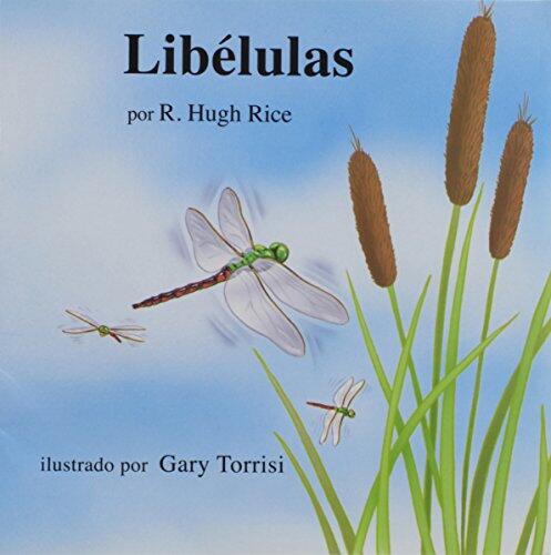 Libelulas (Books for Young Learners)