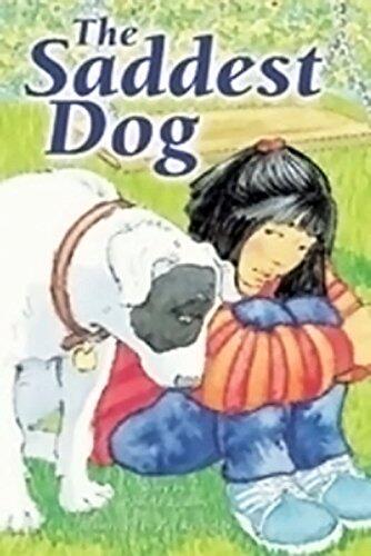 The Saddest Dog