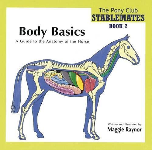 Body Basics (A Guide to the Anatomy of the Horse)