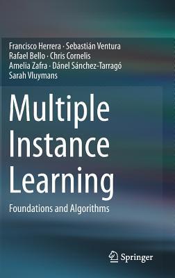 Multiple Instance Learning: Foundations and Algorithms