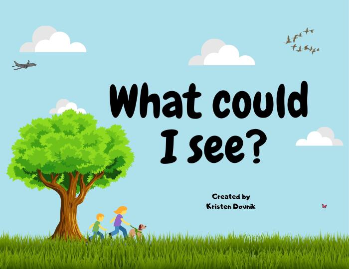 What could I see?