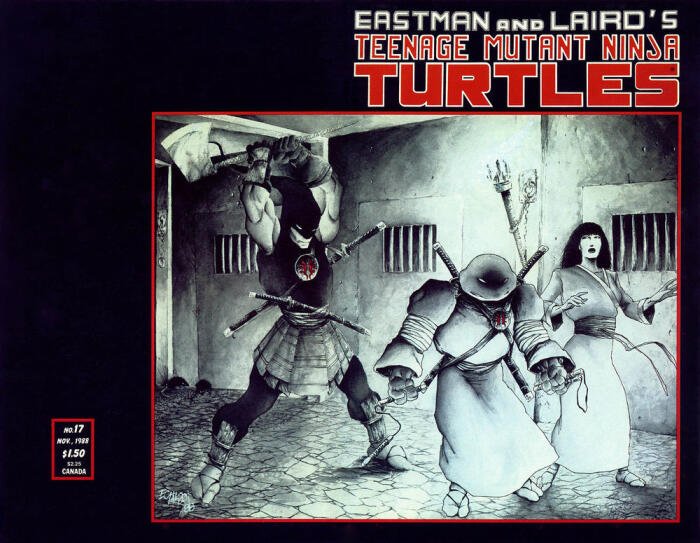 Eastman and Laird's Teenage Mutant Ninja Turtles Vol.1 #17