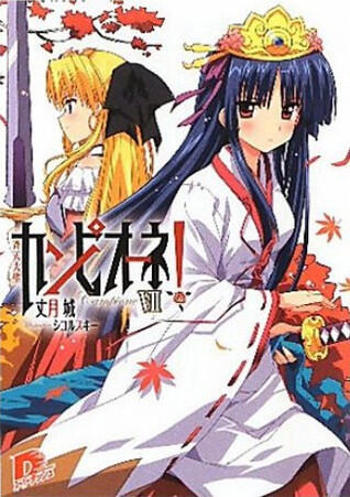カンピオーネ! VII 斉天大聖