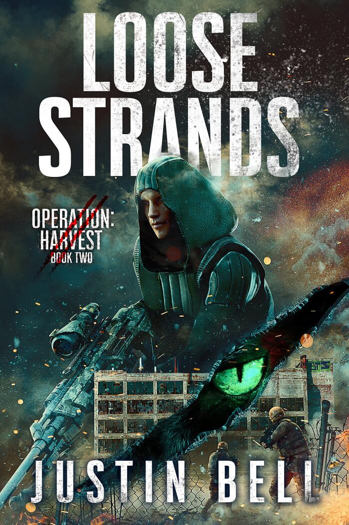Loose Strands (A Military Techno-Thriller): Operation: Harvest Book Two