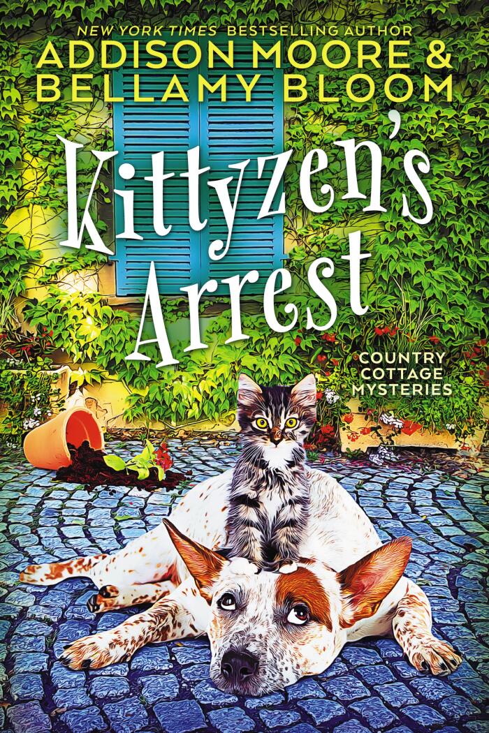 Kittyzen's Arrest