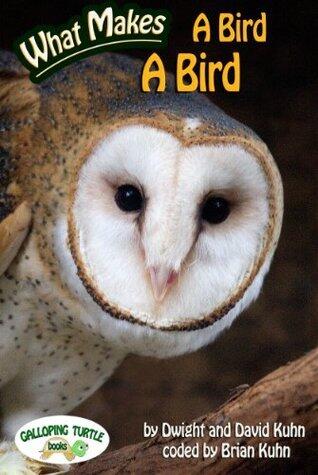 What Makes: A Bird a Bird
