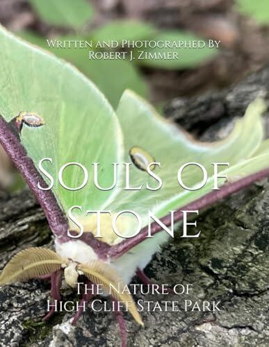 Souls of Stone: The Nature of High Cliff