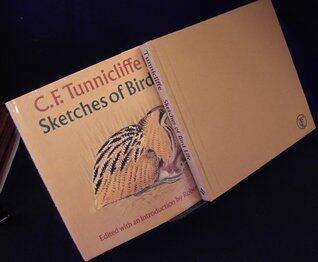 Sketches of Bird Life
