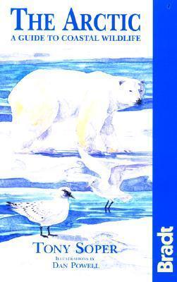 The Arctic, A Guide to the Coastal Wildlife