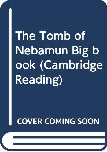 The Tomb of Nebamun Big book