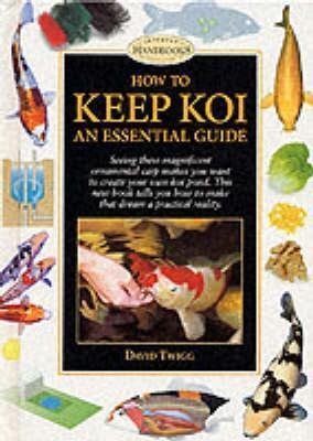 How to Keep Koi : An Essential Guide
