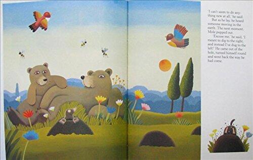 Something New For A Bear