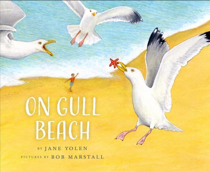 On Gull Beach