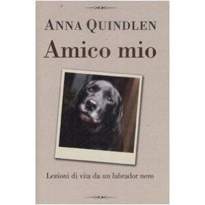 Amico Mio