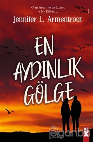 En Aydınlık Gölge
