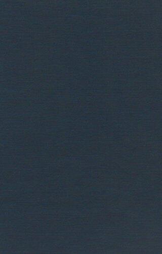 Formal and Empirical Issues in Optimality Theoretic Syntax