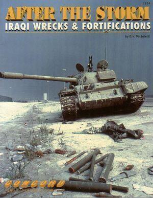 After the Storm: Iraqi Wrecks and Fortifications