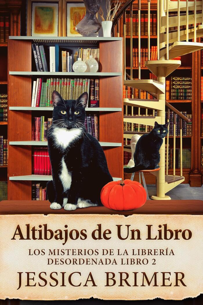 Altibajos de Un Libro (Los misterios de la librería desordenada nº 2)